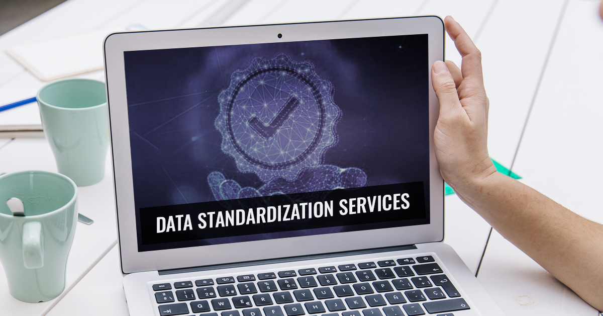 Data Standardization Services
