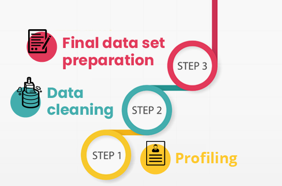 Data Scrubbing Steps