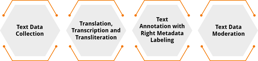 Text Data Annotation Offerings